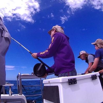 Blackfish Charters February 2019 29