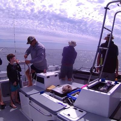 Blackfish Charters February 2019 47